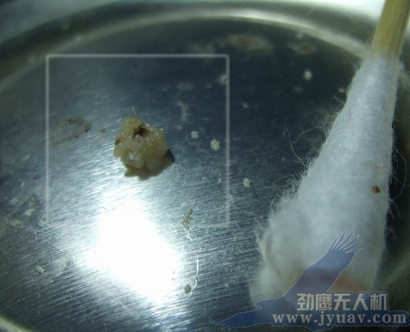 &#67;&#81;&#57;&#30005;&#23376;&#40;&#20013;&#22269;&#41;&#20114;&#21160;&#30334;&#31185;